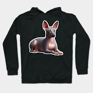 American Hairless Terrier Hoodie